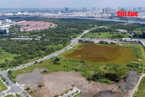 Làm gì khi người khác xây nhà 'nhầm' trên đất của mình?