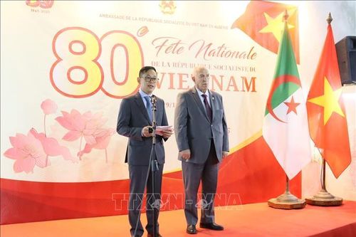 Quan hệ hữu nghị và triển vọng hợp tác mới Việt Nam - Algeria
