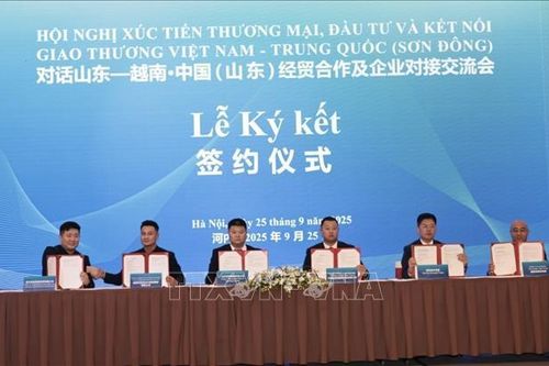 Khơi thông dòng chảy thương mại Việt Nam - Trung Quốc (Sơn Đông)
