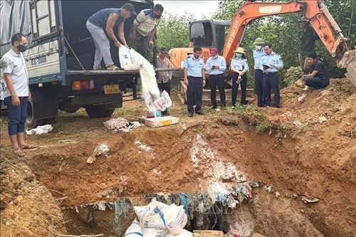 Tiêu hủy hơn 5 tấn thực phẩm vi phạm bị tịch thu