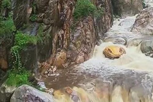 'Đầu trăn khổng lồ' xuất hiện giữa suối, khách du lịch hoảng loạn, sợ hãi