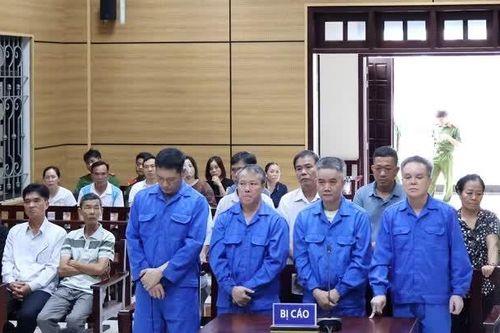 Nhóm 'cát tặc' lòng hồ Dầu Tiếng lãnh án