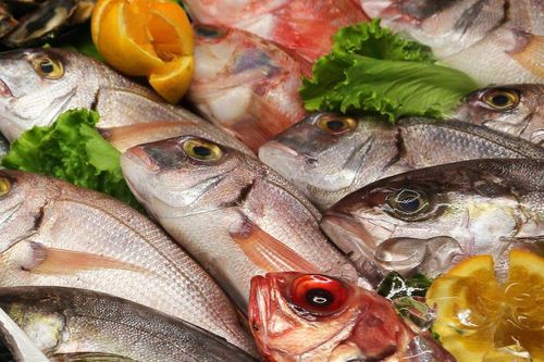 5 loại cá bổ dưỡng nên ăn vào mùa thu