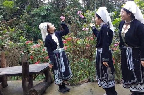 Người phụ nữ Dao Tiền biến gian khó thành cơ hội nơi non cao