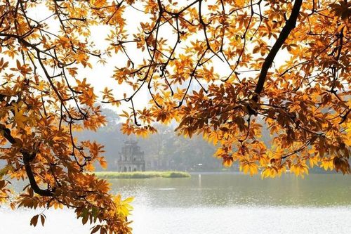 Lý do Hà Nội nằm trong top điểm đến ngắm lá mùa thu đẹp nhất châu Á