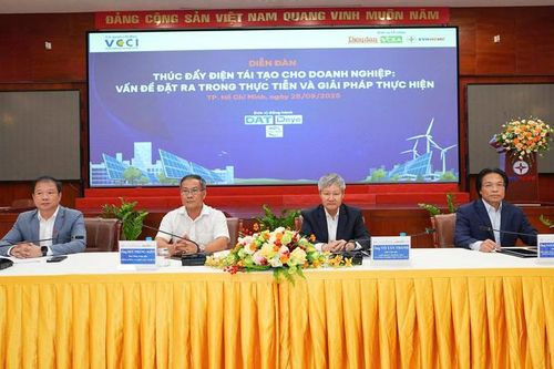 Bàn giải pháp thúc đẩy điện tái tạo cho TP. Hồ Chí Minh