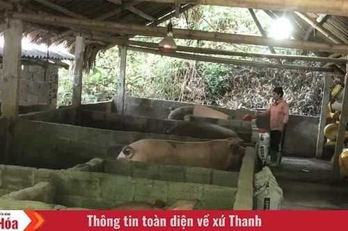 Yên Nhân vực dậy sau cơn lũ