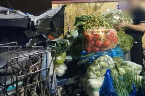 Rau trôi nổi 'đội lốt' an toàn vào cả trường học và siêu thị