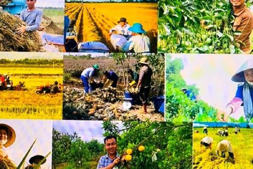 Nông dân phải là chủ thể tham gia vào toàn bộ chuỗi giá trị nông nghiệp