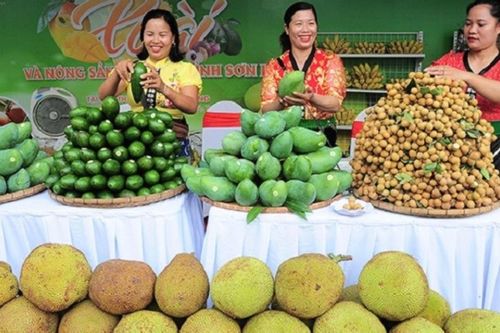 Giám sát số VietGAP cho nông hộ Tây Bắc hướng đến thị trường xuất khẩu