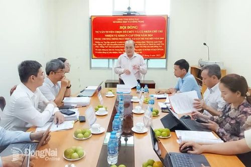 Thẩm định đơn vị phát triển nhãn hiệu cho sản phẩm bưởi da xanh Vĩnh Cửu và Tân Phú