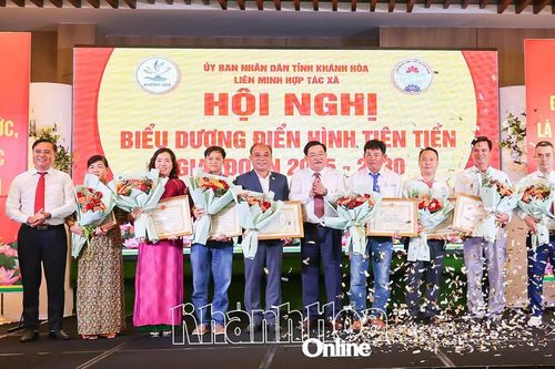 Liên minh Hợp tác xã tỉnh Khánh Hòa vinh danh các điển hình tiên tiến