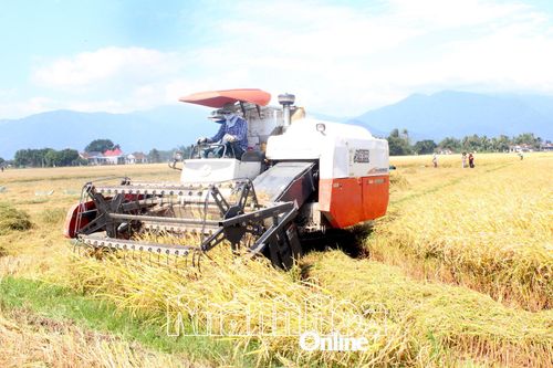Nông dân xã Vạn Ninh: Thi đua sản xuất, kinh doanh giỏi