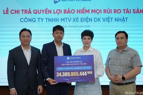 Chi trả trên 34 tỷ đồng quyền lợi bảo hiểm cho Công ty TNHH MTV Xe điện DK Việt Nhật tại Lạng Sơn