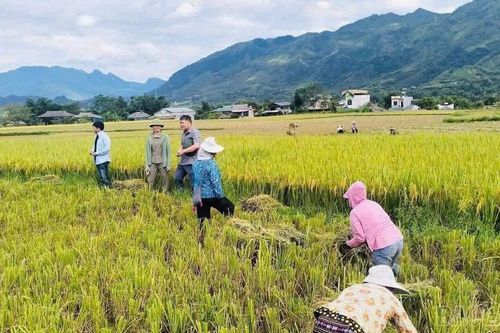 Phường Cầu Thia chủ động phòng chống bão số 9, đảm bảo an toàn sản xuất và đời sống Nhân dân