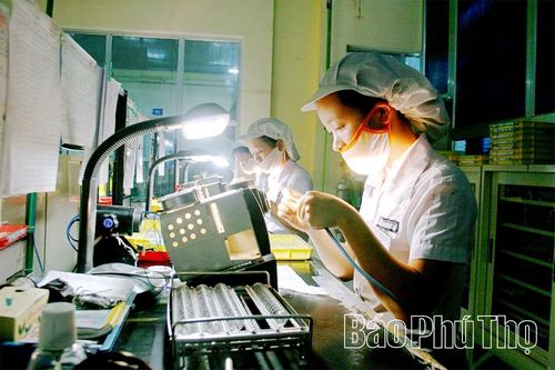 'Chuyển đổi xanh' - động lực phát triển bền vững
