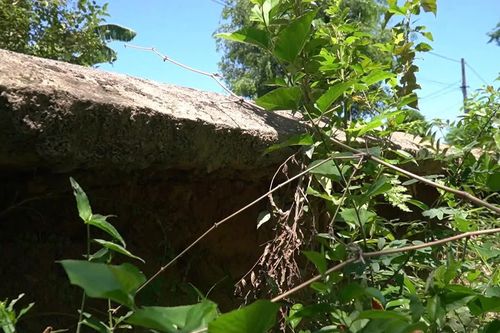 Cần khắc phục sạt lở đê bao sông Cựu Vĩnh Định