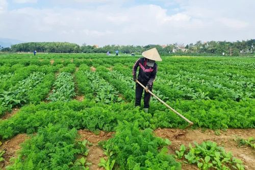 Tạo động lực phát triển bền vững