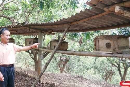 Hỗ trợ nông dân thay đổi tư duy sản xuất mới