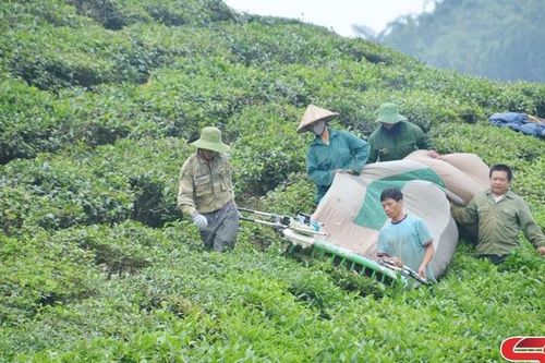 Diện mạo mới ở Liên Hưng