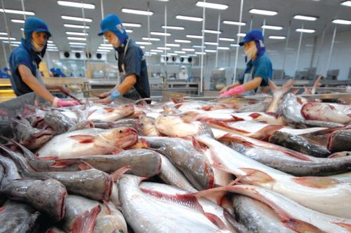 Ngân hàng Nhà nước nâng quy mô tín dụng nông, lâm, thủy sản lên 185.000 tỷ đồng