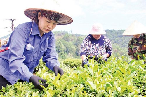 Lạng Sơn đầu tư hạ tầng thiết yếu, nhân rộng mô hình giảm nghèo điển hình