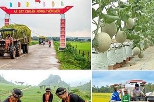 Xây dựng chuẩn nghèo đa chiều phù hợp với mục tiêu phát triển