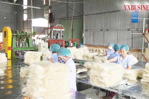 Những sản phẩm được 'gắn sao' đặc biệt thế nào mà giúp nông dân Phú Thọ làm giàu?