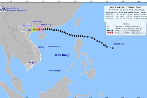 Bão Ragasa giảm xuống cấp 8, trưa nay đi vào Quảng Ninh