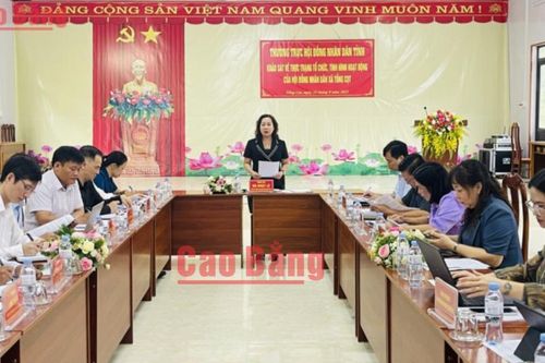 Phó Chủ tịch HĐND tỉnh Hà Nhật Lệ khảo sát hoạt động HĐND xã Tổng Cọt