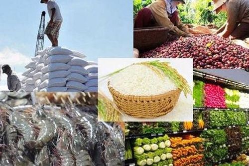 Nâng quy mô gói tín dụng nông, lâm, thủy sản