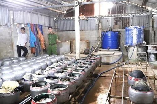 Phát hiện cơ sở sử dụng chất cấm sản xuất gần 500kg giá đỗ