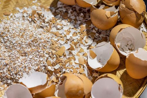 Mẹo hay với vỏ trứng và cơm nguội