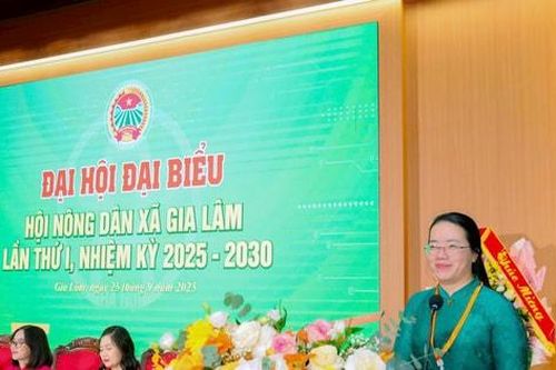 Gia Lâm, Liên Minh tổ chức thành công Đại hội đại biểu Hội Nông dân xã