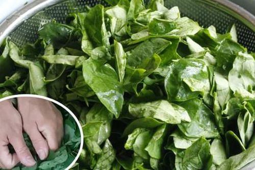 Có nên vò rau ngót trước khi nấu?
