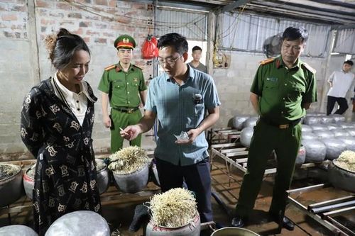 Dùng chất cấm để sản xuất giá đỗ