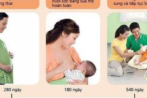 Hành trình ăn dặm của trẻ: Chìa khóa vàng cho 1.000 ngày đầu đời