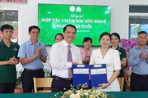 Chăm sóc sức khỏe tại chỗ cho người cao tuổi ở TPHCM - mô hình từ việc kết nối