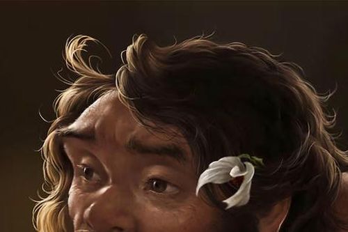 Hộp sọ cổ đại xác định lại dòng thời gian tiến hóa loài người