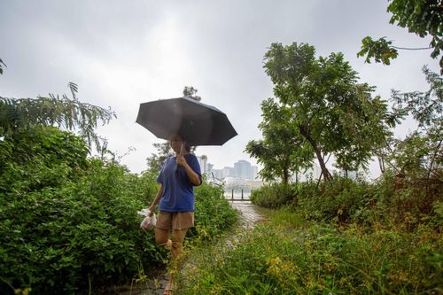 Cỏ mọc như rừng bao trùm công viên giá 700 tỷ ở Hà Nội