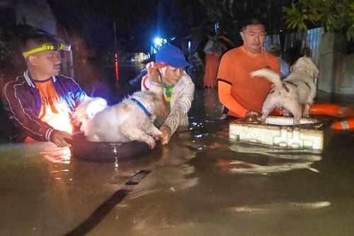 Sau Ragasa, bão Bualoi làm Philippines tê liệt