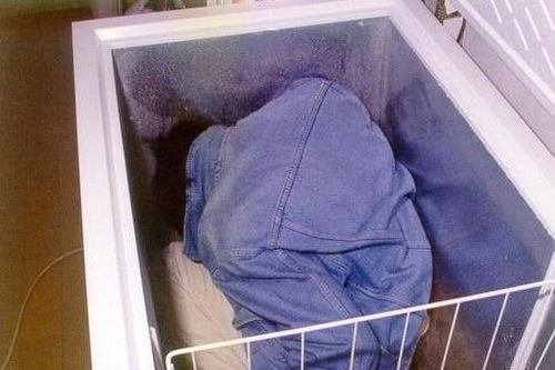 Mẹ bị bắt vì trữ đông thi thể con gái 20 năm ở Nhật Bản