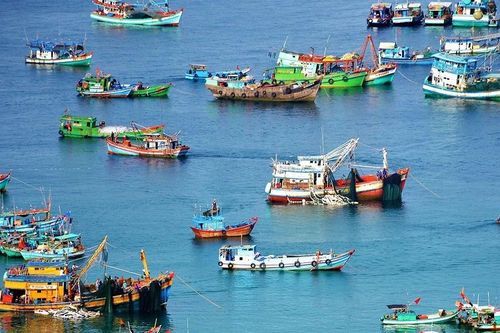 Doanh nghiệp thủy sản đồng hành cùng Chính phủ giữ vững uy tín và thị trường xuất khẩu