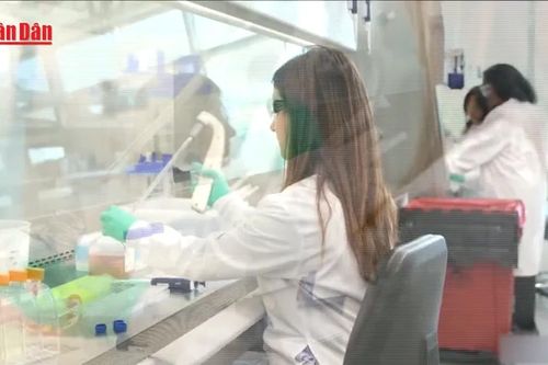 Liên hợp quốc giới thiệu thuốc tiêm ngừa HIV giá 40 USD