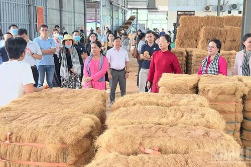 Vĩnh Long tọa đàm phát triển sản phẩm du lịch đường sông