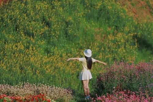 Ngất ngây trước sắc hoa ở Một Khu Vườn Sơn La, nơi đẹp tựa cổ tích
