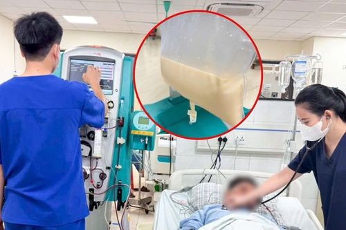 Huyết tương trắng đục vì rối loạn mỡ máu