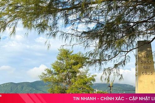 'Sống cùng Đảng, chết không rời Đảng'