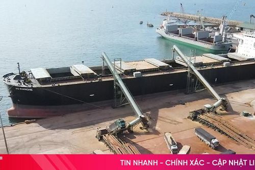 Đơn giản thủ tục hành chính giúp cảng biển Hà Tĩnh tăng tốc phát triển