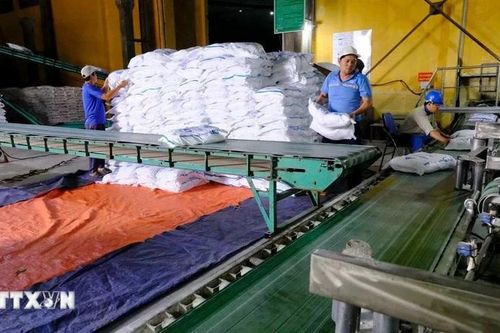 Ngành mía đường trước sức ép lớn từ đường lỏng nhập khẩu